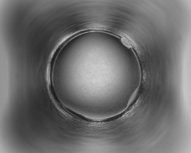 X0000094351128200711021428