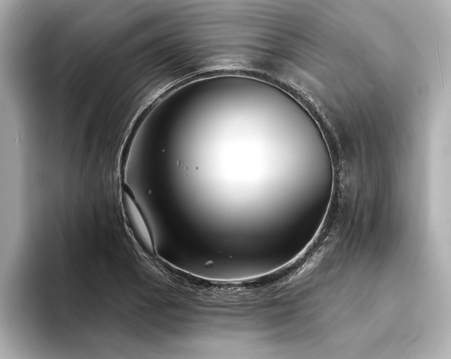 X0000094351129200711021428