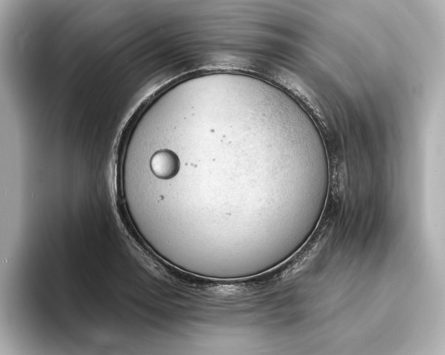 X0000094351130200711021428