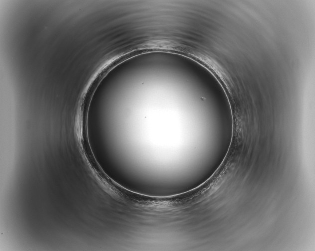 X0000094351131200711021428