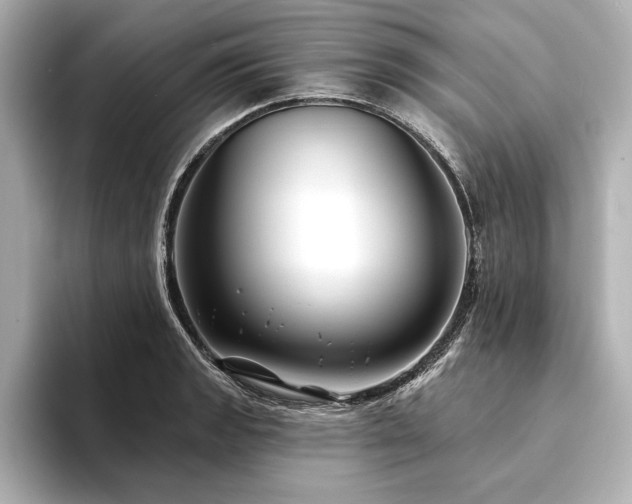 X0000094351133200711021428