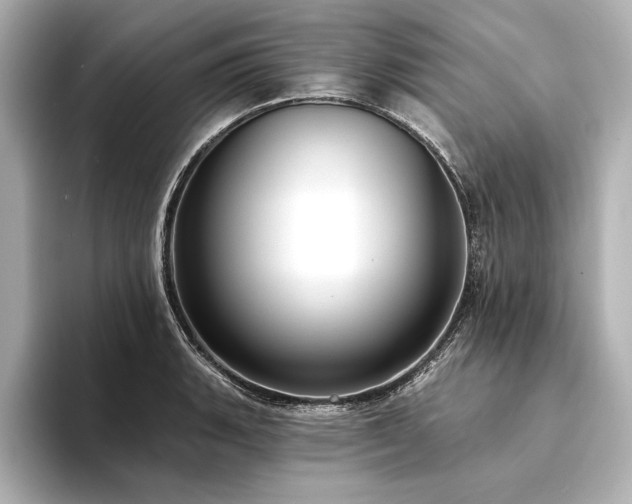 X0000094351135200711021428