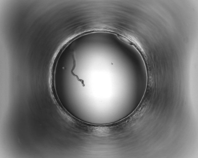 X0000094351136200711021428