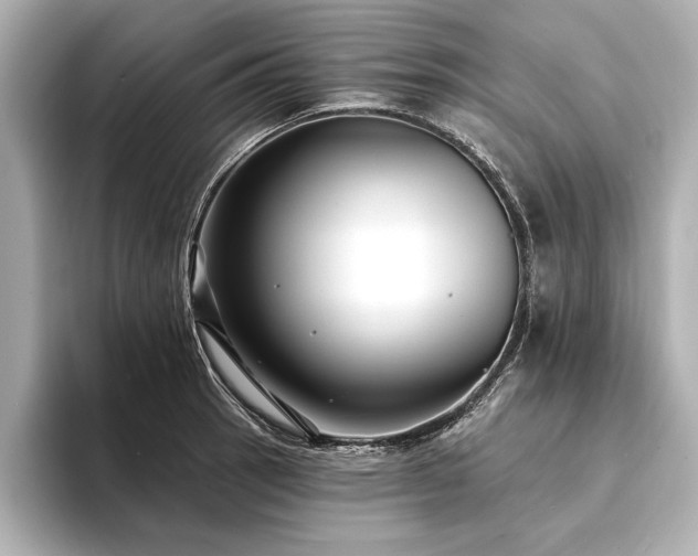 X0000094351137200711021428