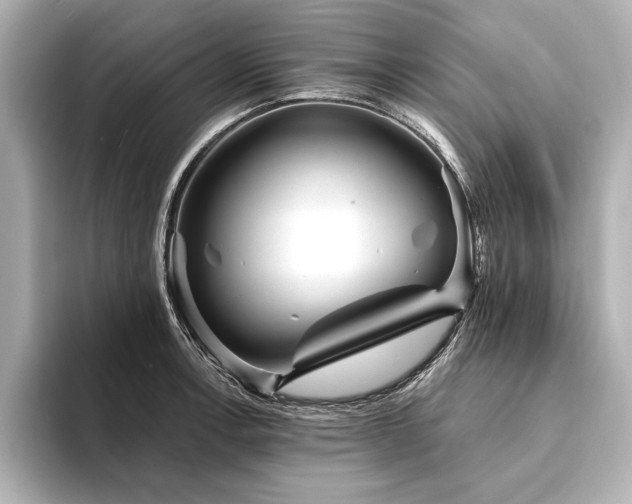 X0000094351138200711021428