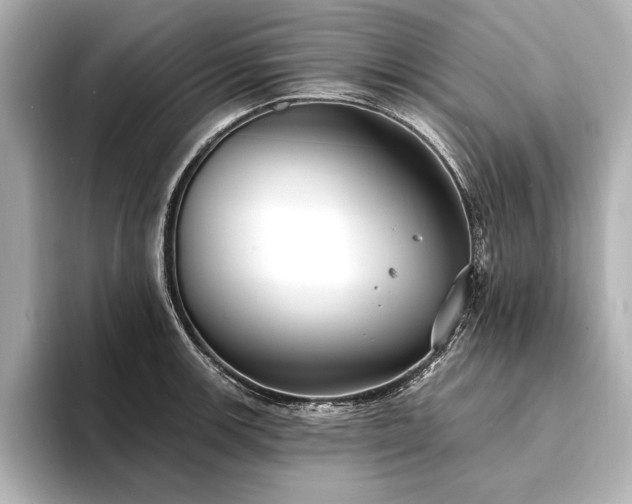 X0000094351139200711021428