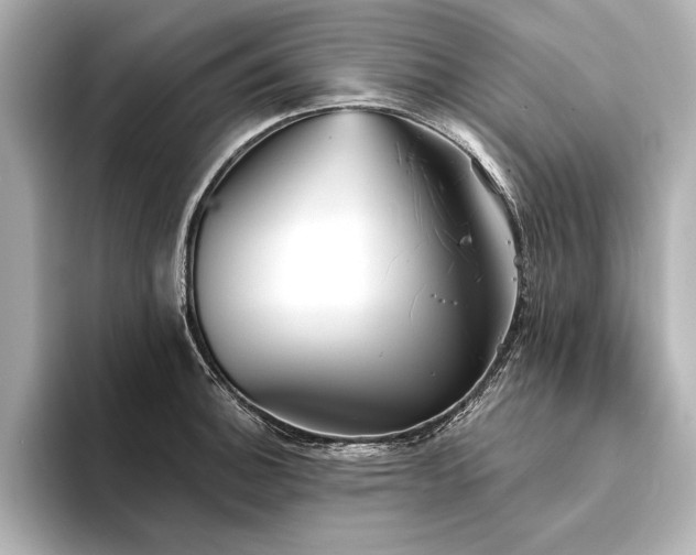 X0000094351140200711021428