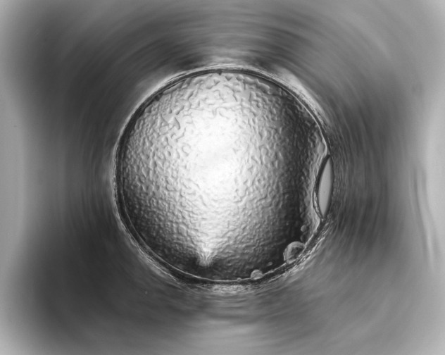 X0000094351142200711021428