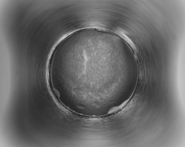 X0000094351144200711021428