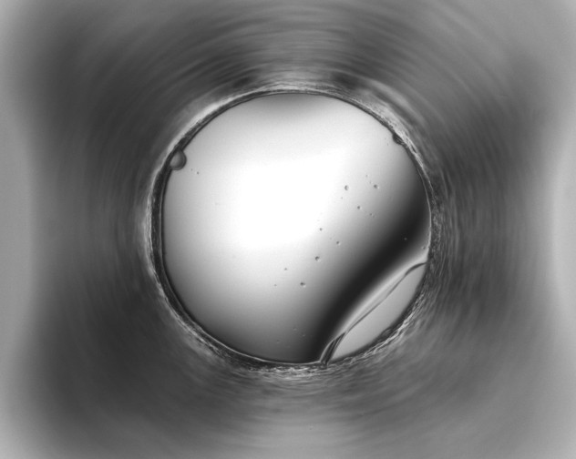 X0000094351147200711021428