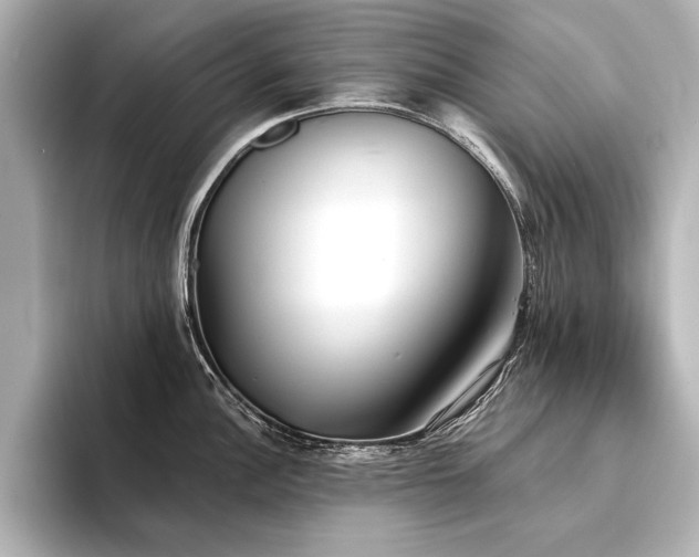 X0000094351148200711021428