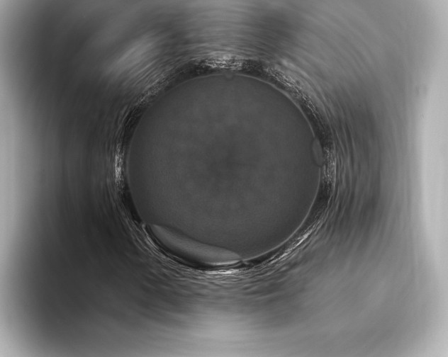 X0000094351154200711021427