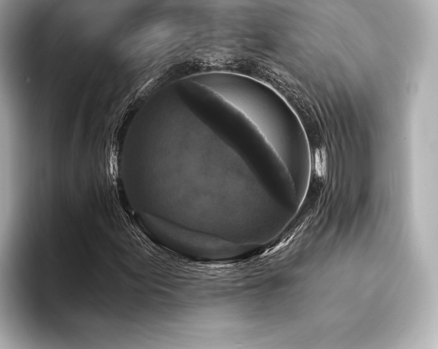 X0000094351155200711021427