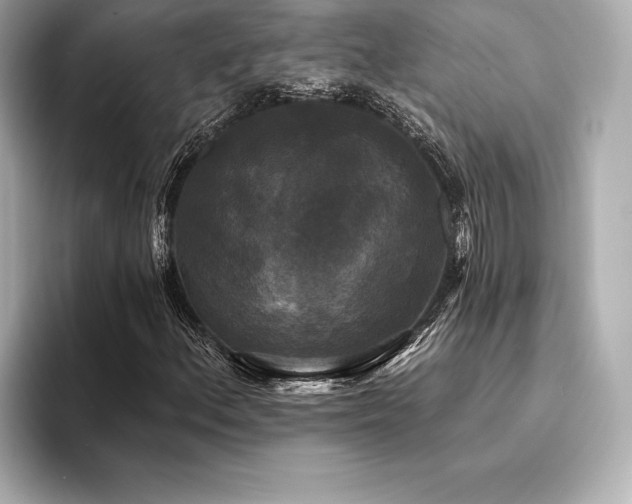 X0000094351156200711021427