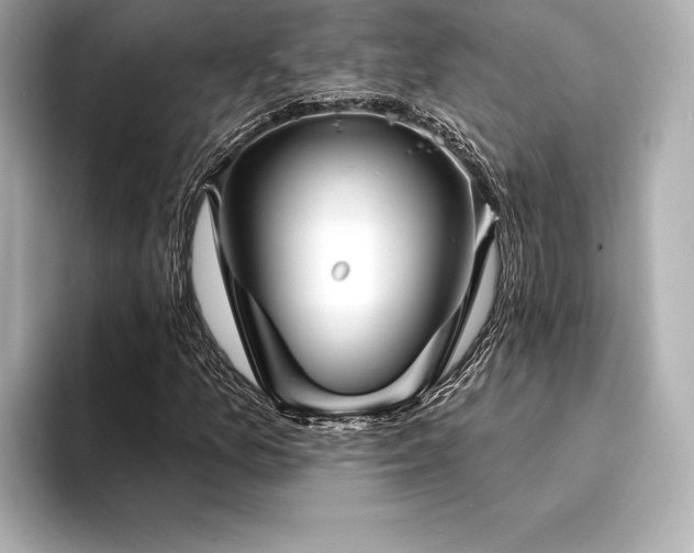 X0000094351157200711021427