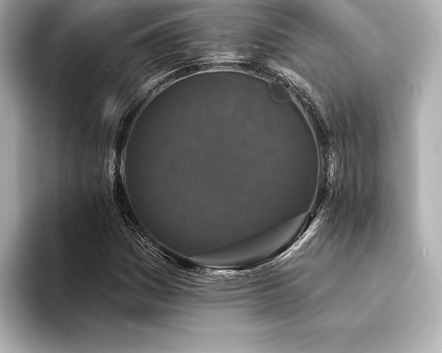 X0000094351161200711021427