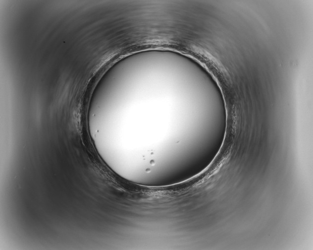 X0000094351162200711021427