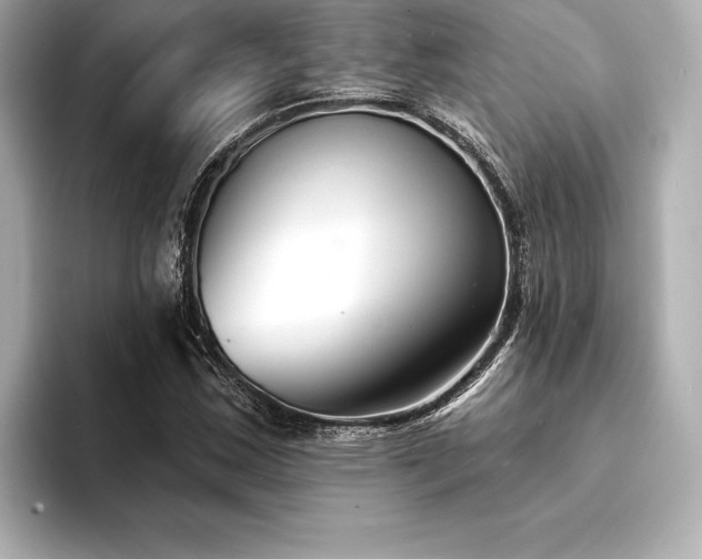 X0000094351163200711021427