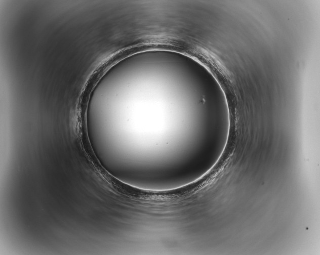 X0000094351164200711021427