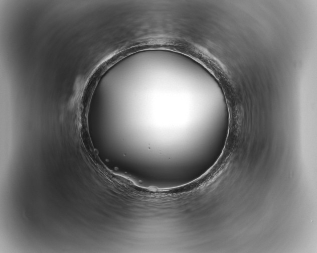 X0000094351166200711021427