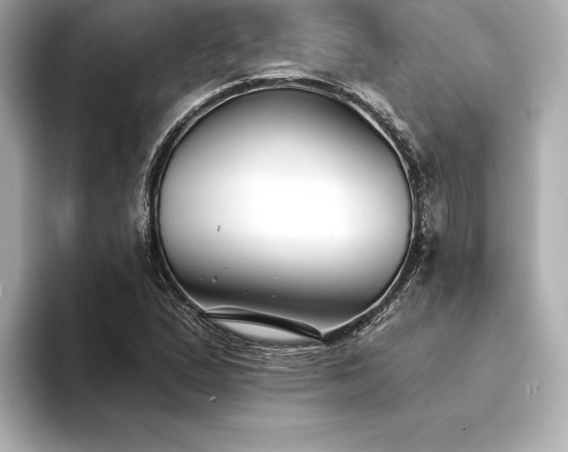 X0000094351167200711021427