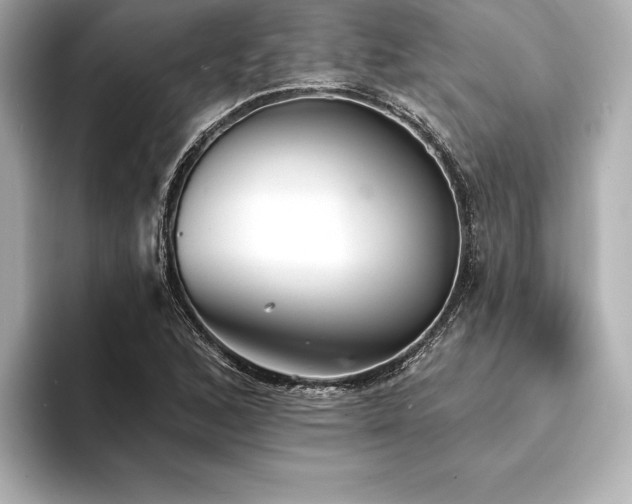 X0000094351168200711021427
