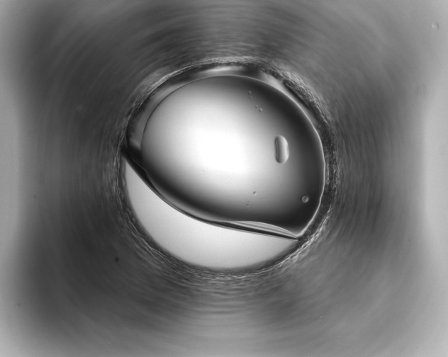X0000094351169200711021427