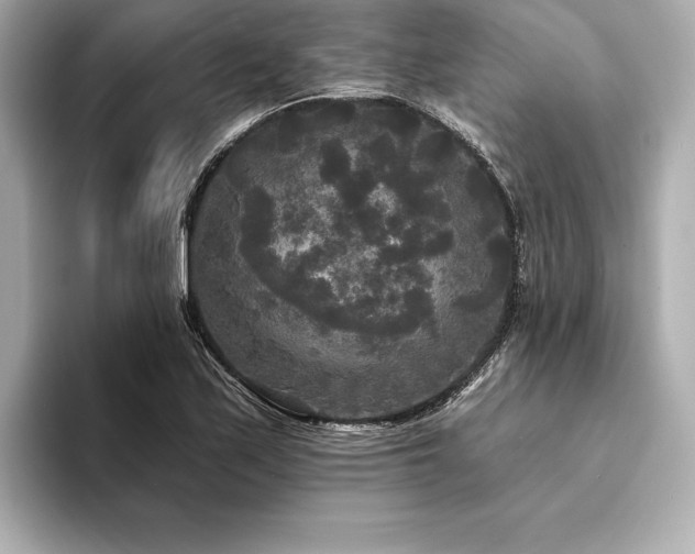 X0000094351171200711021427