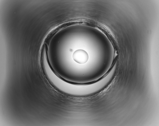 X0000094351172200711021427