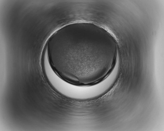 X0000094351173200711021427