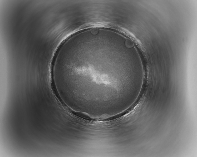 X0000094351174200711021427