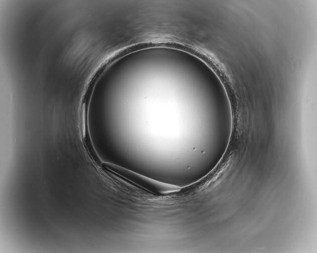 X0000094351175200711021427
