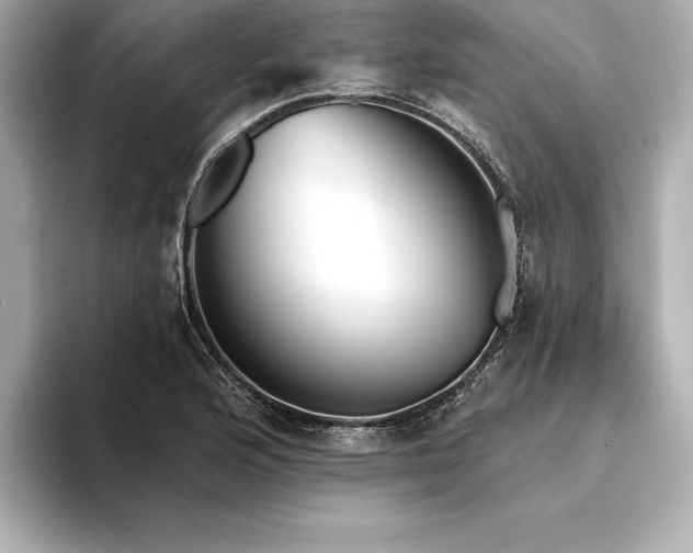 X0000094351176200711021427