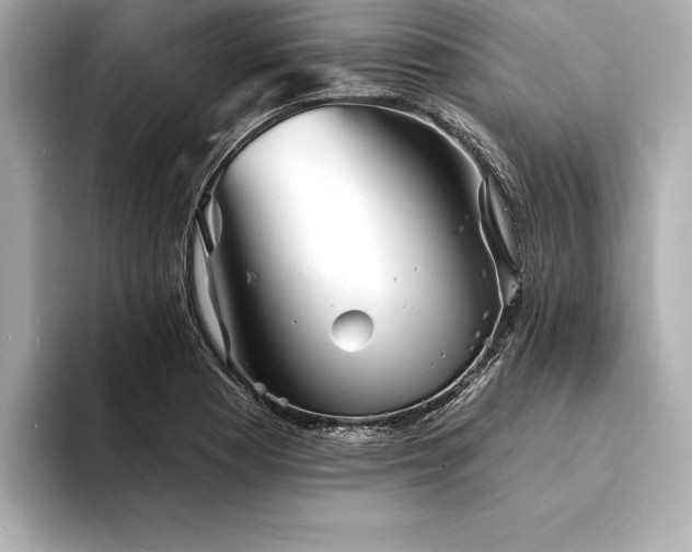 X0000094351177200711021427
