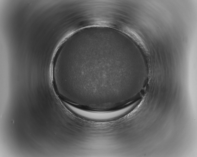 X0000094351180200711021427