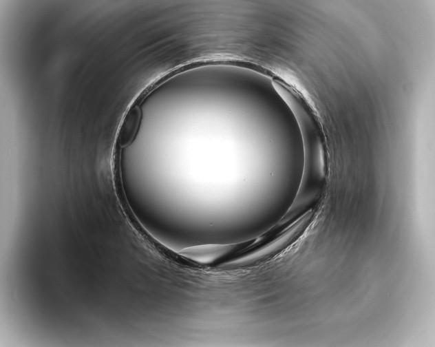 X0000094351181200711021427