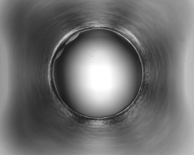 X0000094351182200711021427