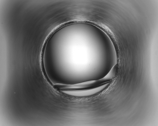 X0000094351183200711021427
