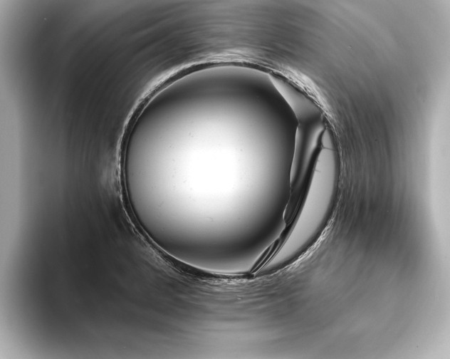 X0000094351184200711021427