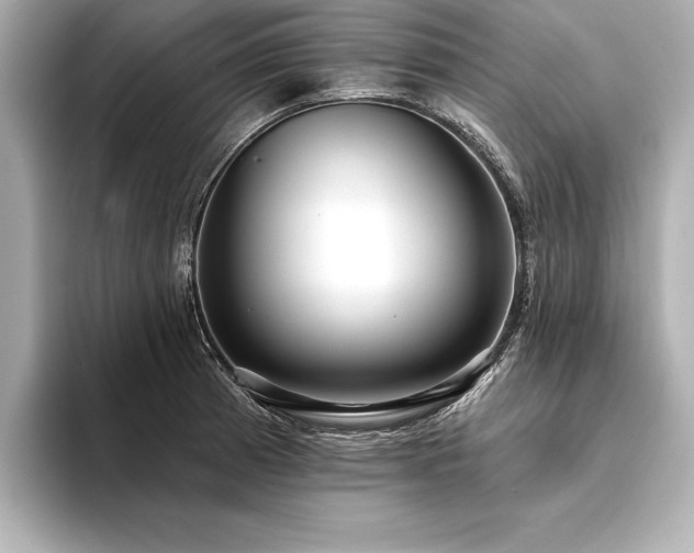X0000094351185200711021427