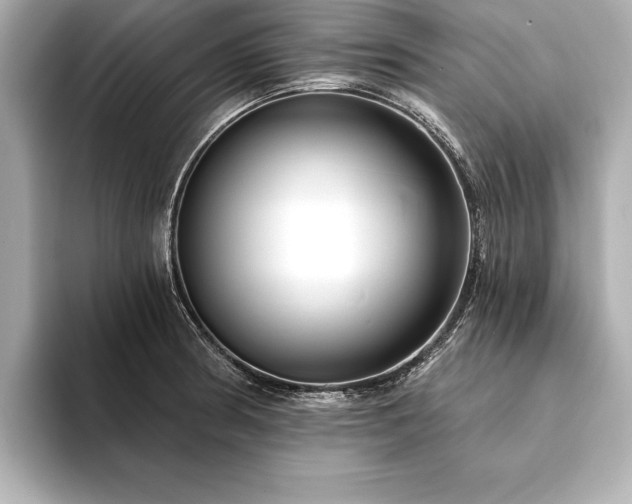 X0000094351186200711021427