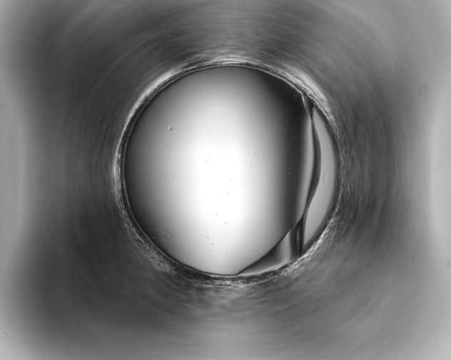 X0000094351190200711021427