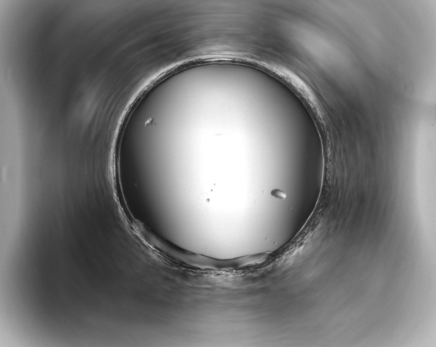 X0000094351191200711021427