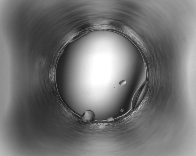X0000094351193200711021427