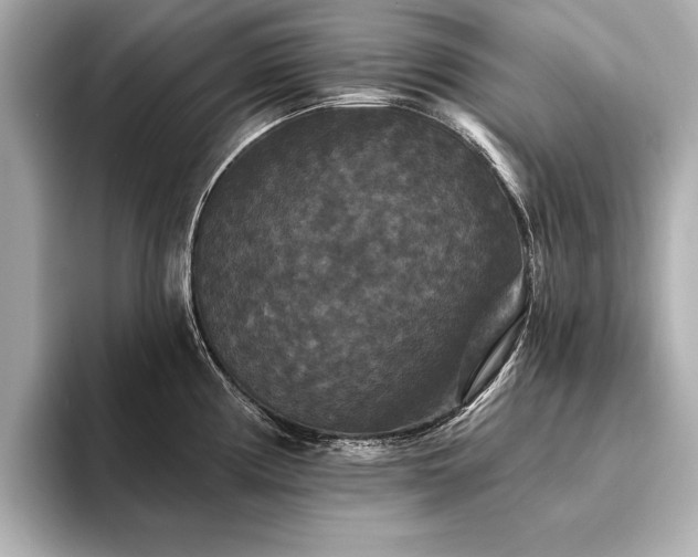 X0000094351194200711021427