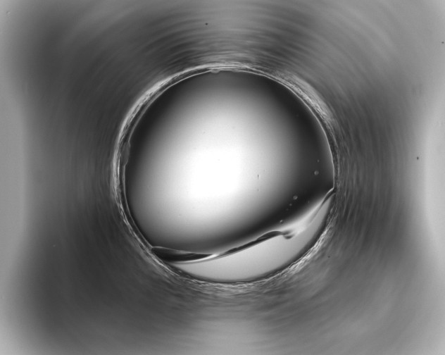 X0000094351196200711021427