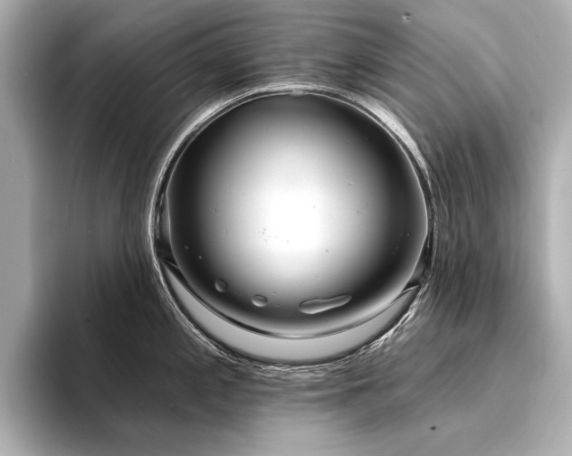 X0000094351197200711021427