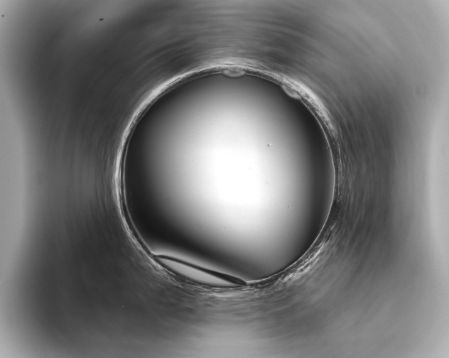 X0000094351199200711021427