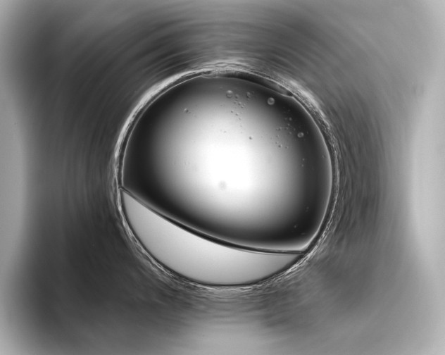 X0000094351200200711021427