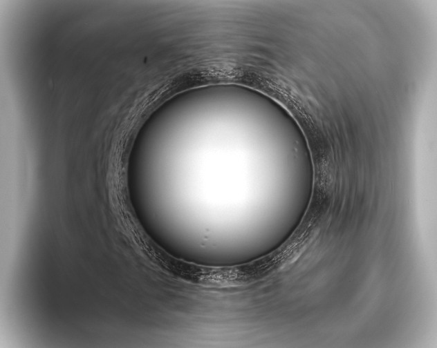X0000094351201200711021426